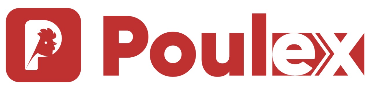 News Logo